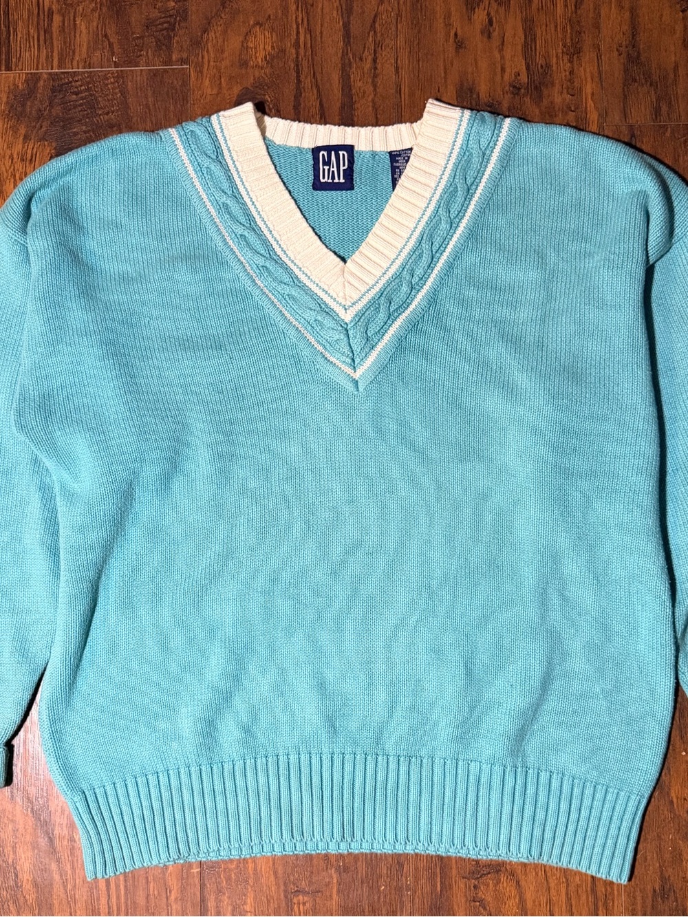 GAP Men's V-Neck Sweater in Teal with Cream Trim